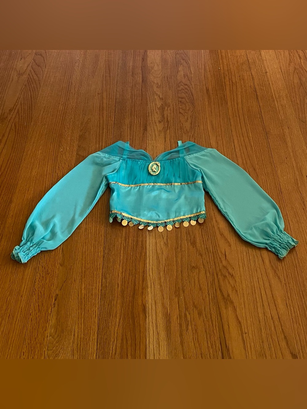 Disney Store Princess Jasmine Costume with Gold Accents - Picture 2 of 6